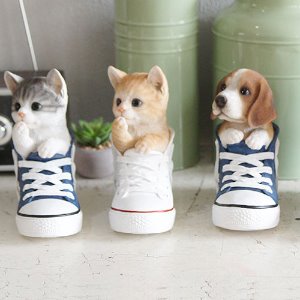 신발 신은 강아지 고양이 데코 소품 인테리어 촬영소품